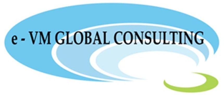 e-VM GLOBAL CONSULTING